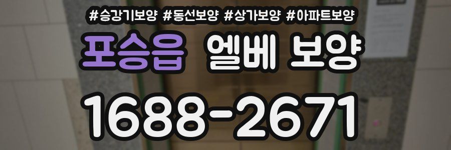 포승읍 엘베 보양