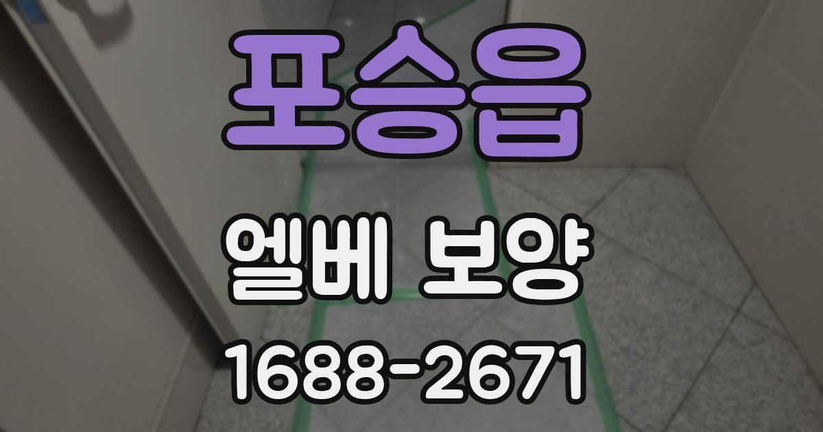 포승읍 엘베 보양