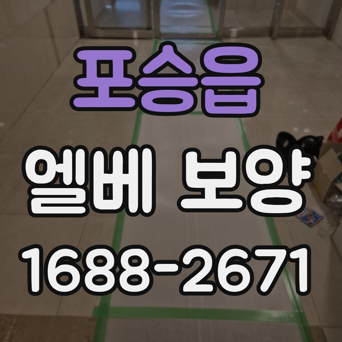 포승읍 엘베 보양