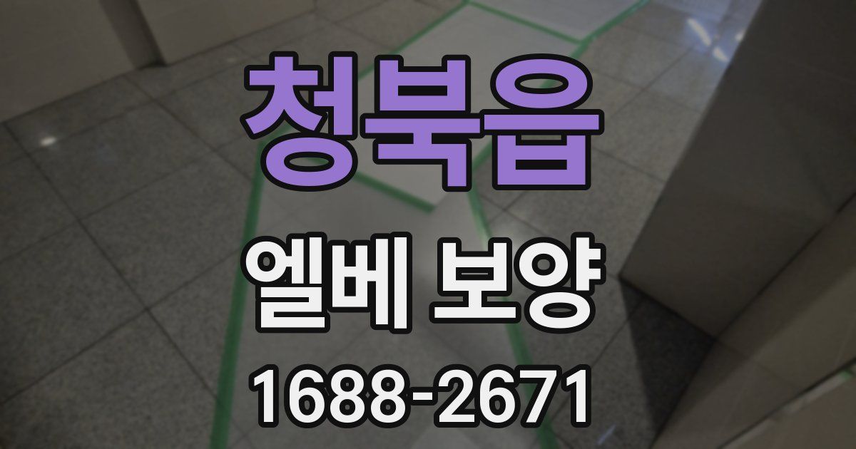 청북읍 엘베 보양