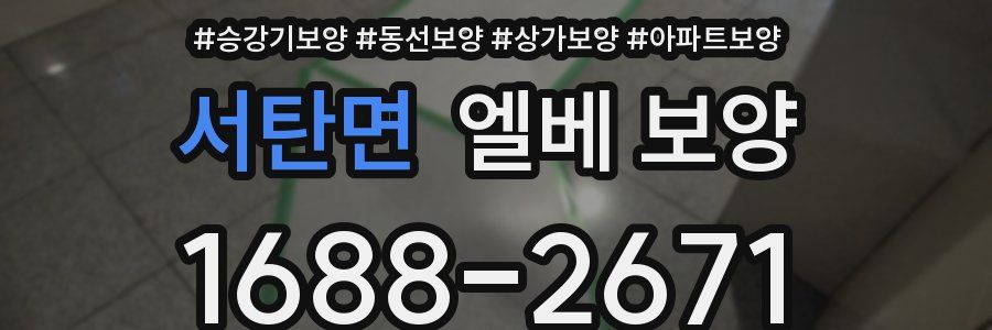 서탄면 엘베 보양