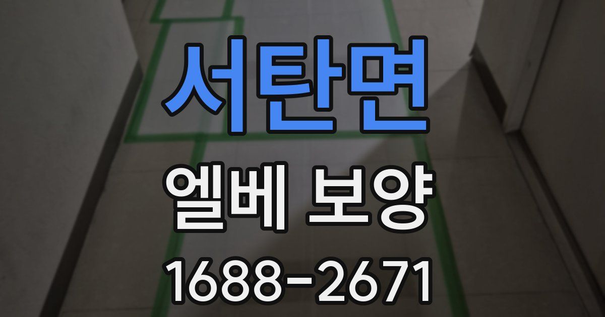 서탄면 엘베 보양
