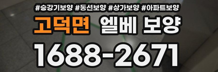 고덕면 엘베 보양