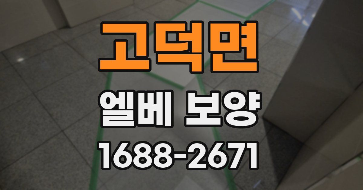 고덕면 엘베 보양
