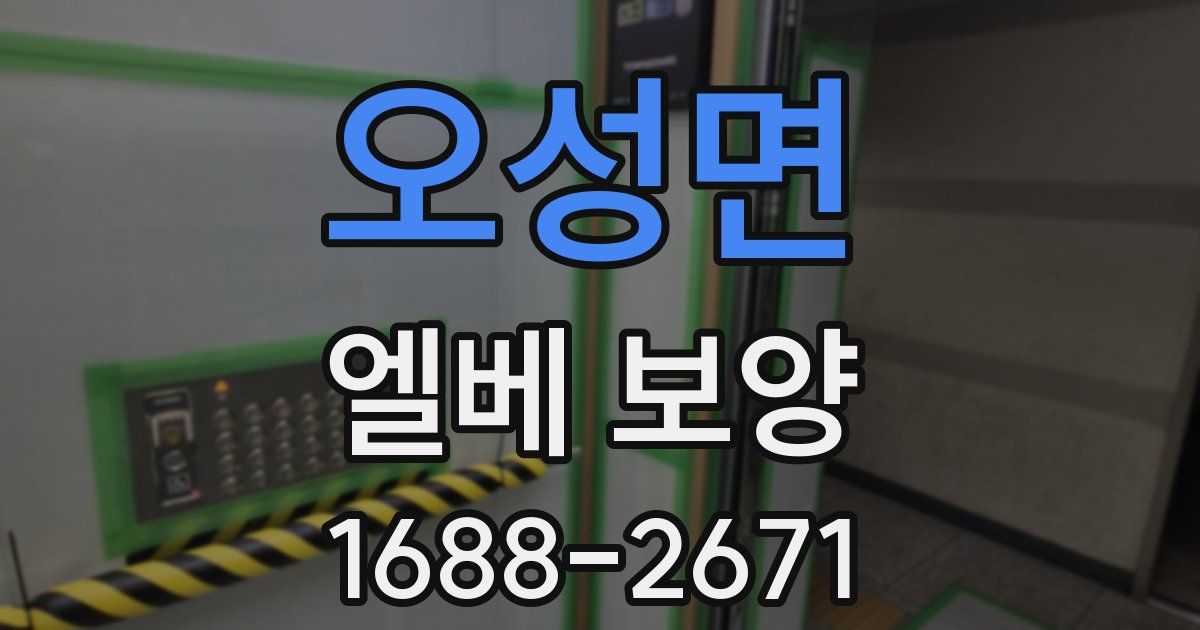 오성면 엘베 보양