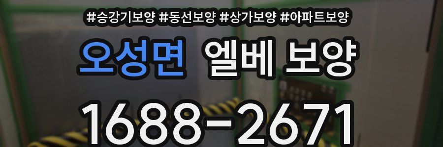 오성면 엘베 보양