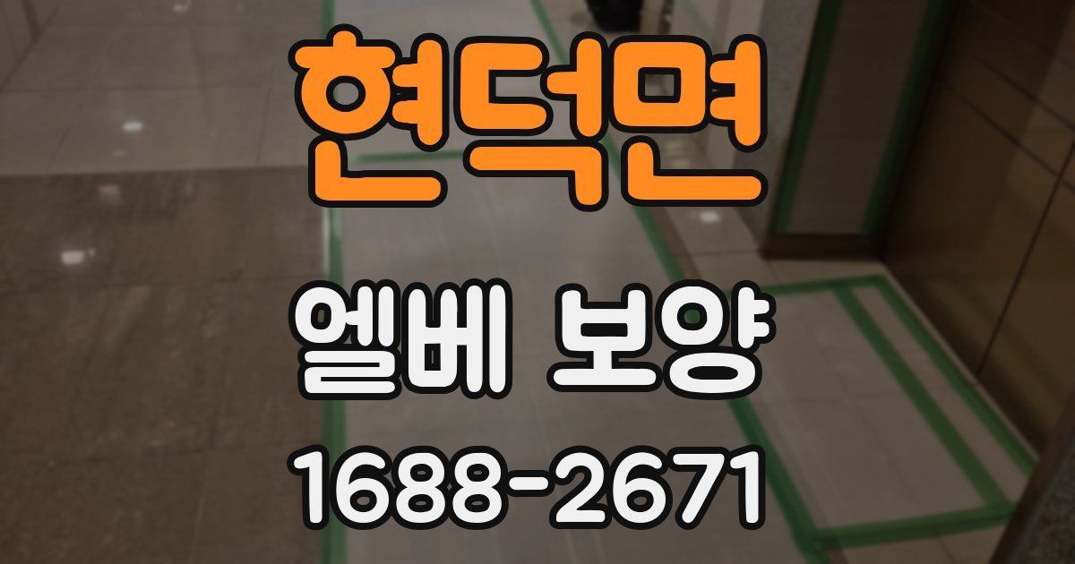 현덕면 엘베 보양