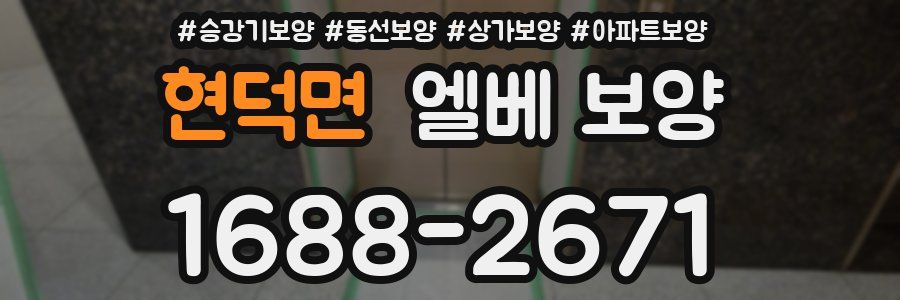 현덕면 엘베 보양
