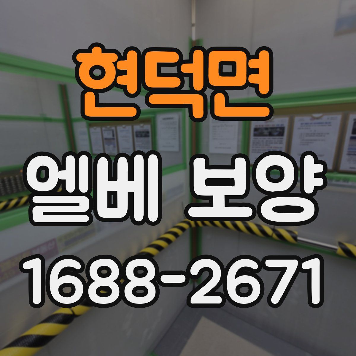 현덕면 엘베 보양