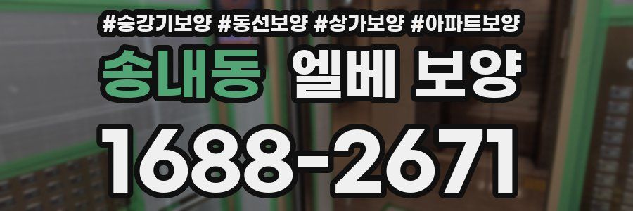 송내동 엘베 보양