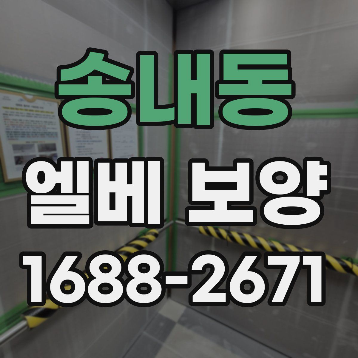 송내동 엘베 보양