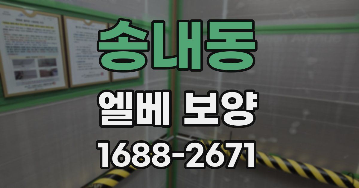 송내동 엘베 보양