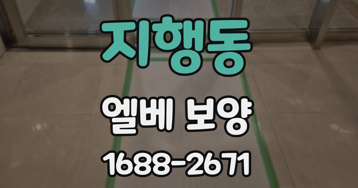 지행동 엘베 보양