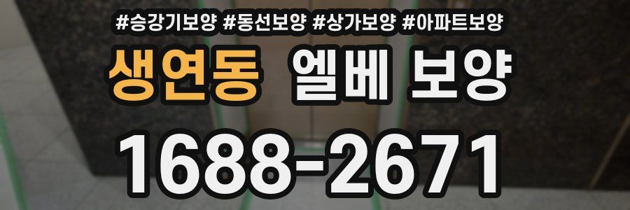 생연동 엘베 보양