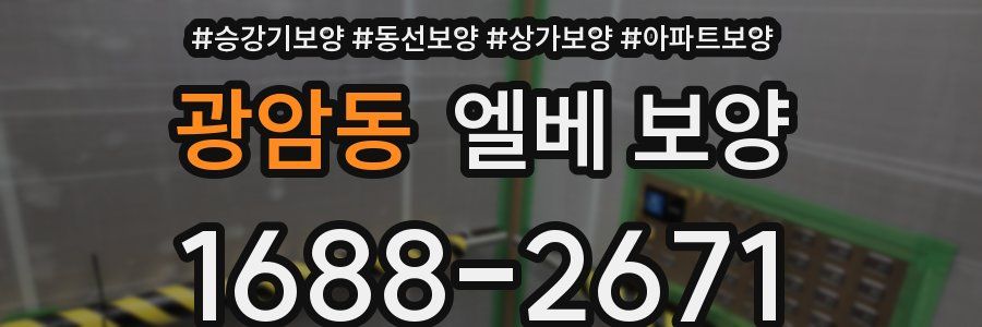 광암동 엘베 보양