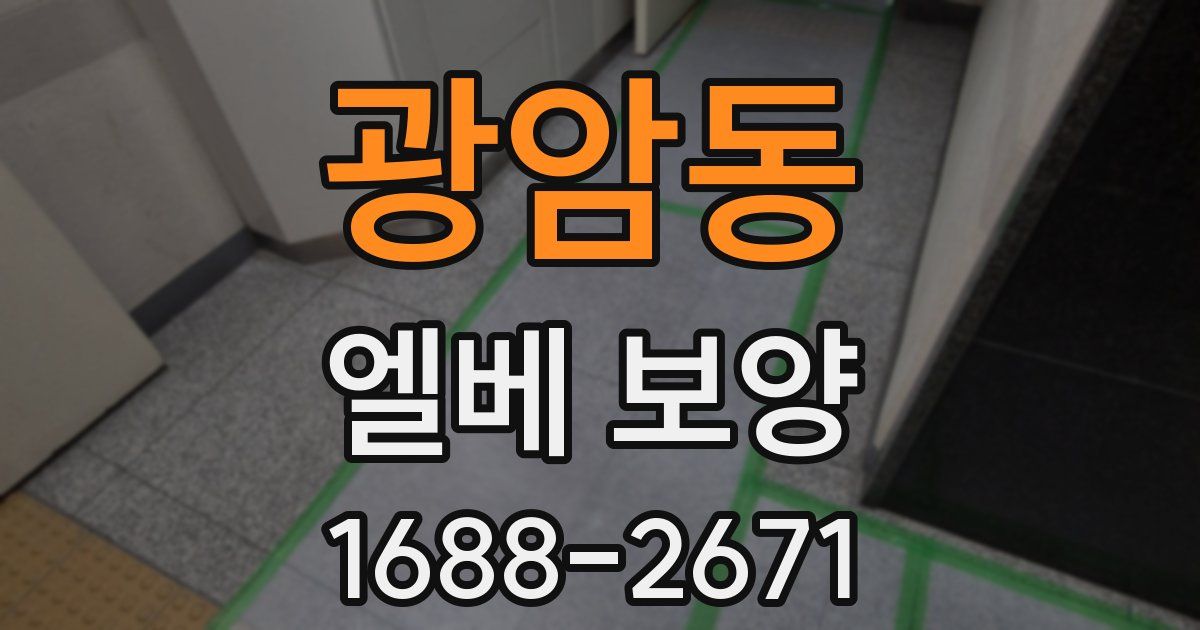 광암동 엘베 보양