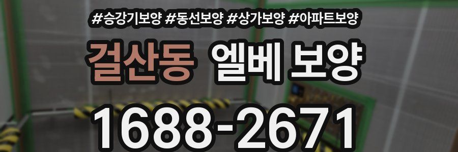 걸산동 엘베 보양