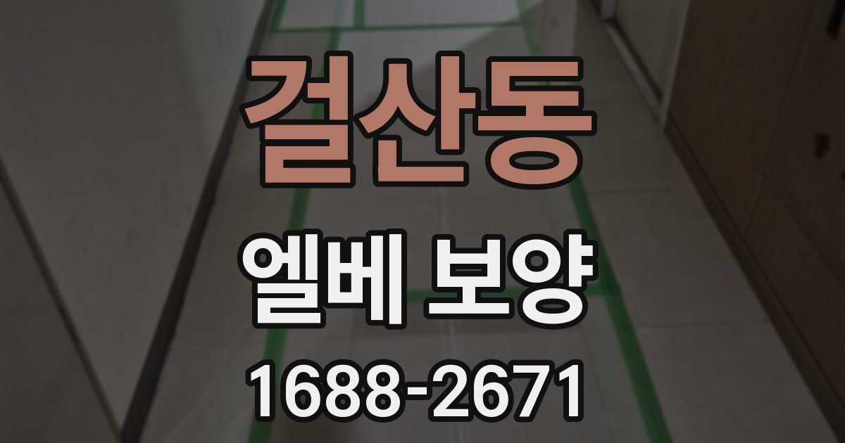 걸산동 엘베 보양