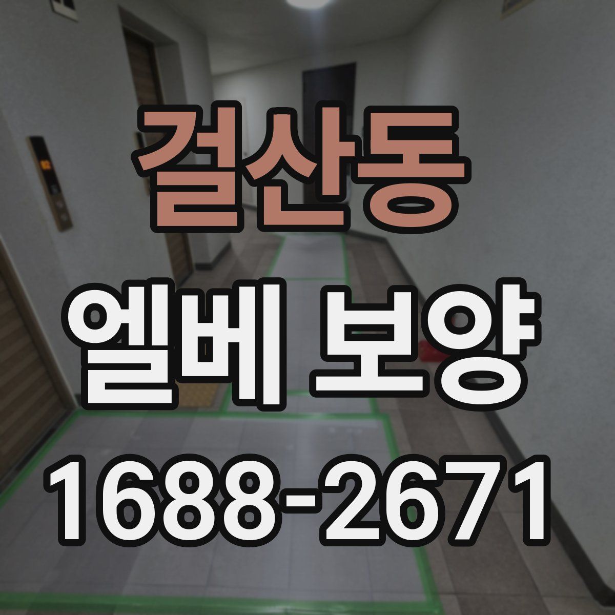걸산동 엘베 보양