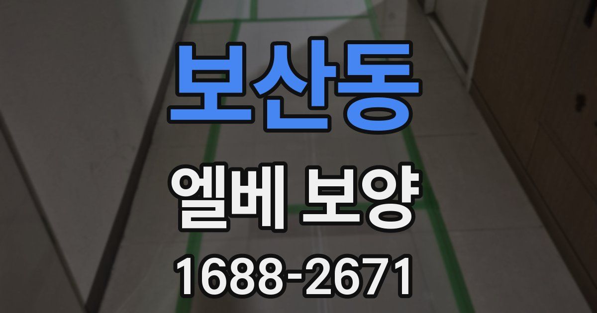 보산동 엘베 보양