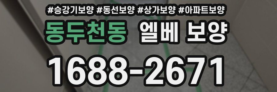 동두천동 엘베 보양