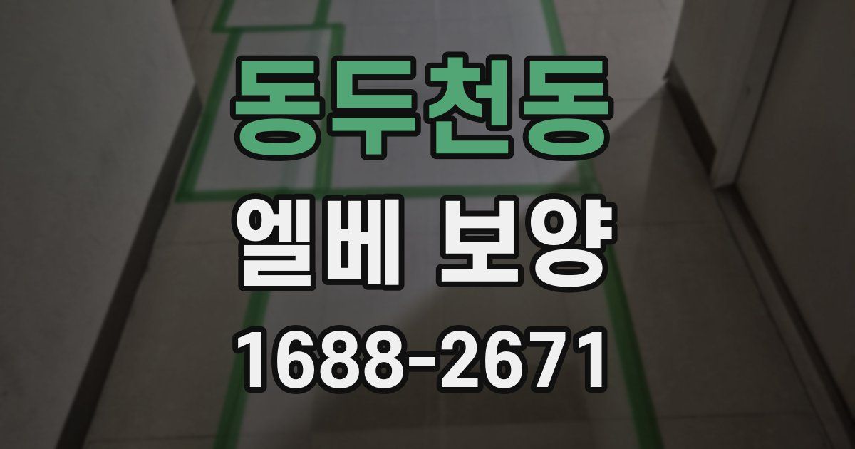 동두천동 엘베 보양