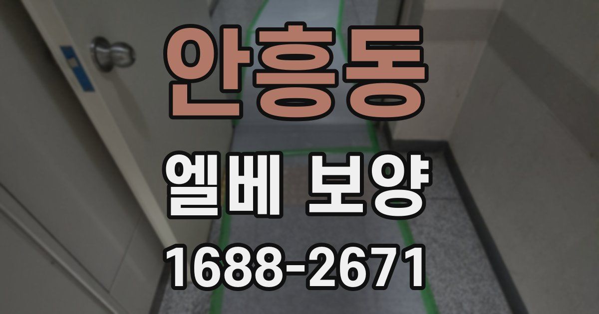 안흥동 엘베 보양
