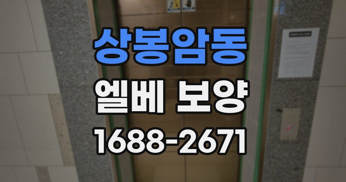 상봉암동 엘베 보양