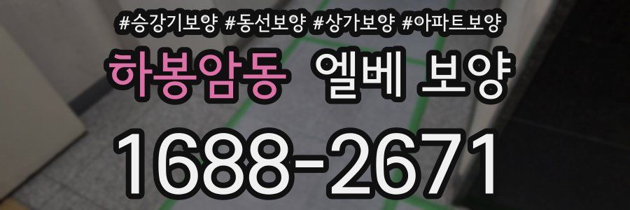 하봉암동 엘베 보양