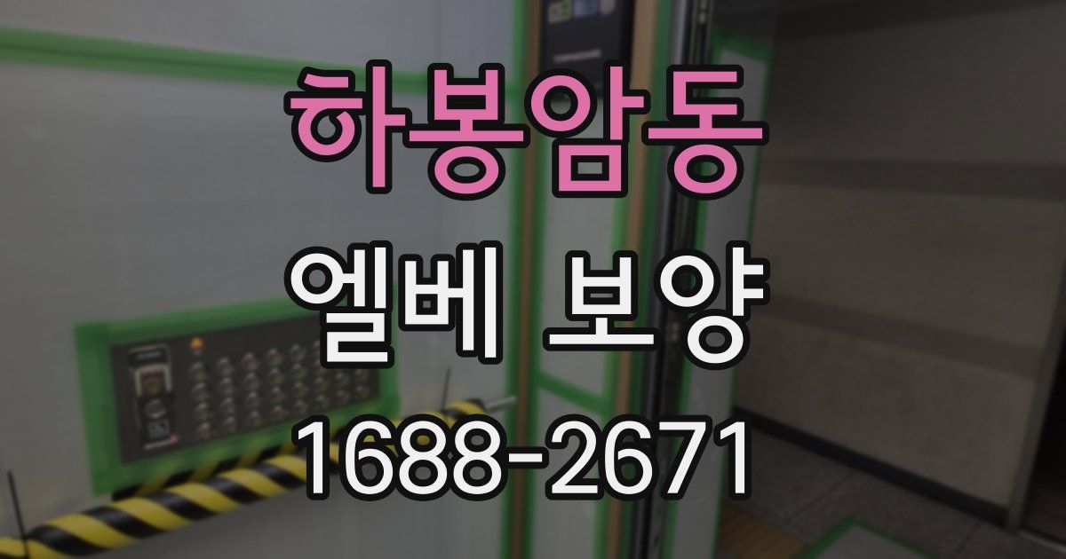 하봉암동 엘베 보양