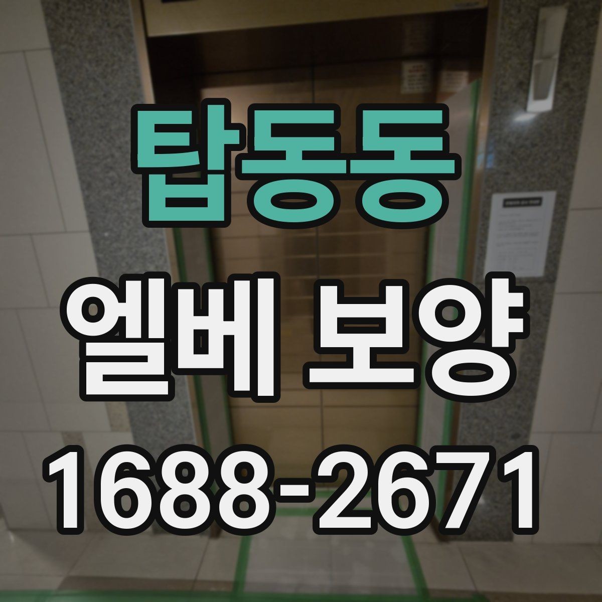 탑동동 엘베 보양 주거용과 상업용 건물 적용 차이