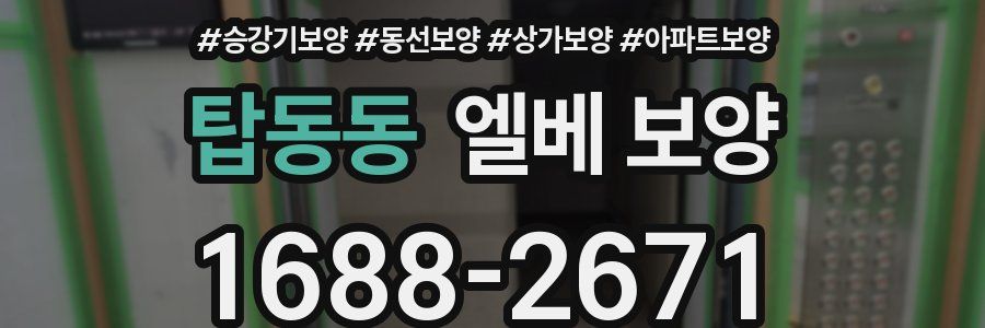 탑동동 엘베 보양