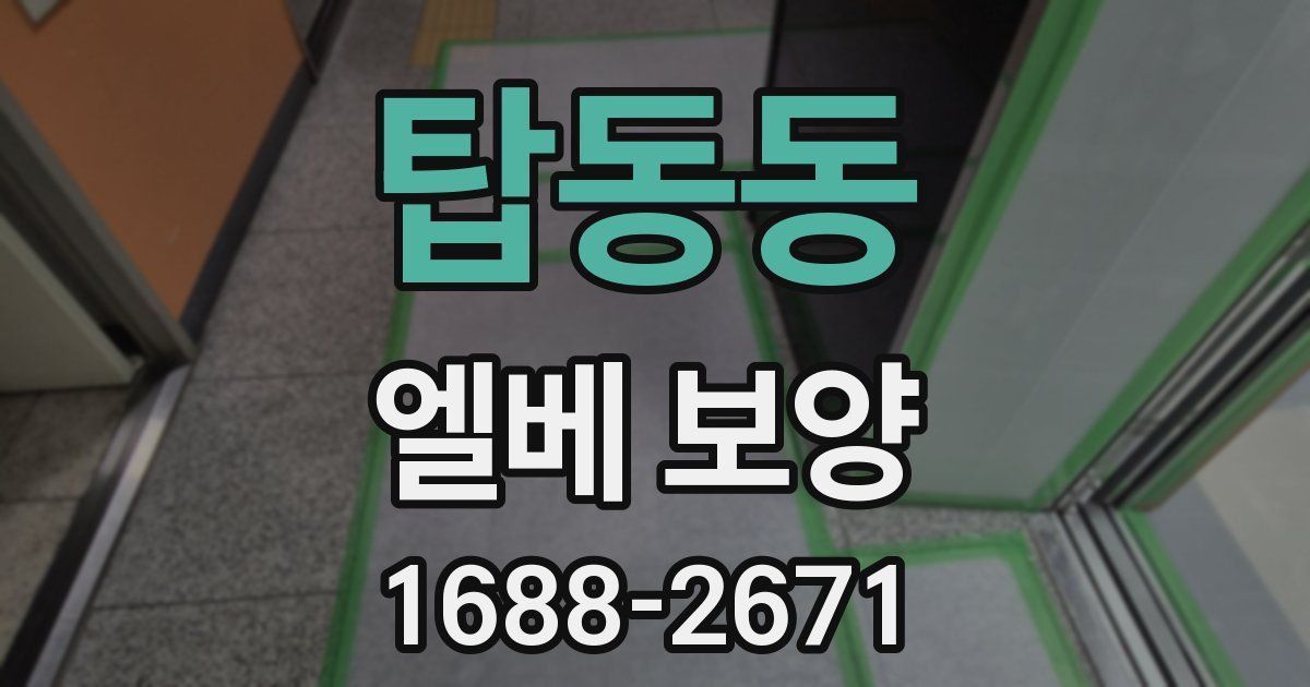 탑동동 엘베 보양
