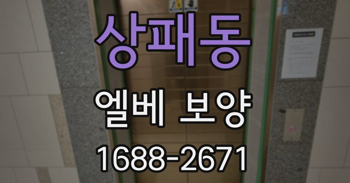 상패동 엘베 보양