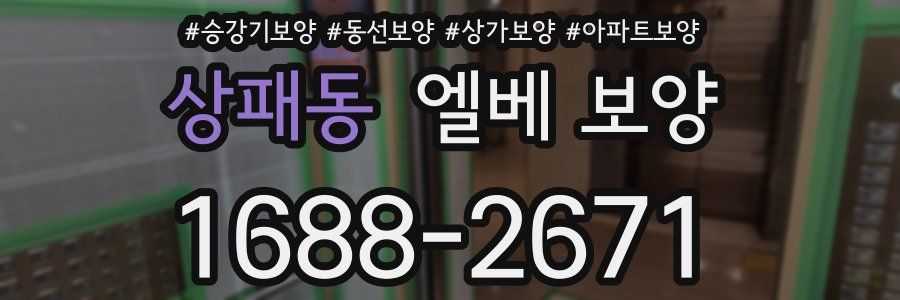 상패동 엘베 보양