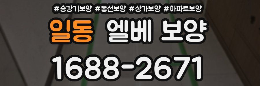 일동 엘베 보양