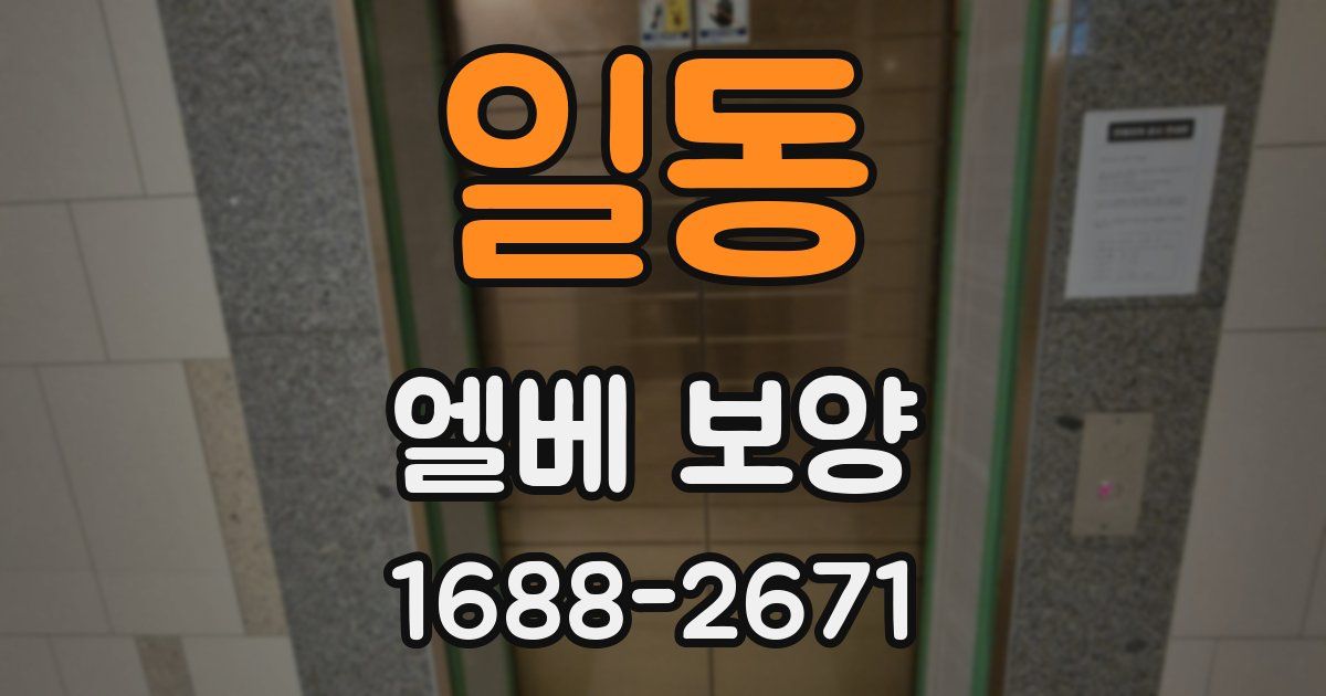 일동 엘베 보양