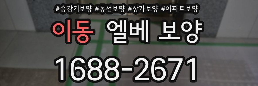 이동 엘베 보양