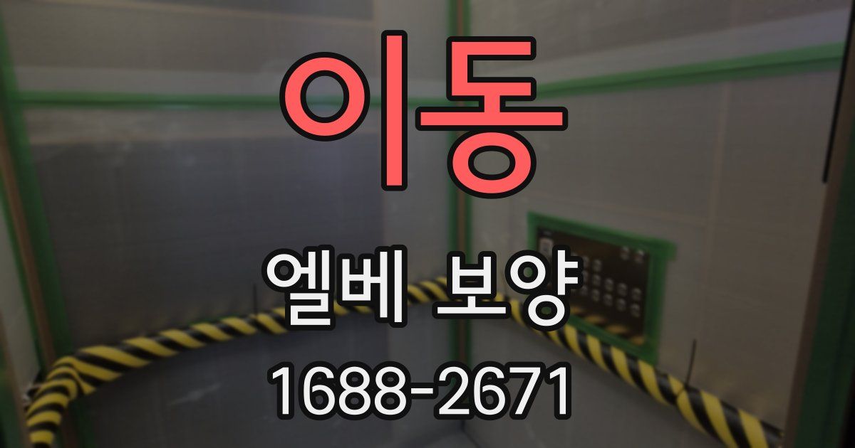 이동 엘베 보양