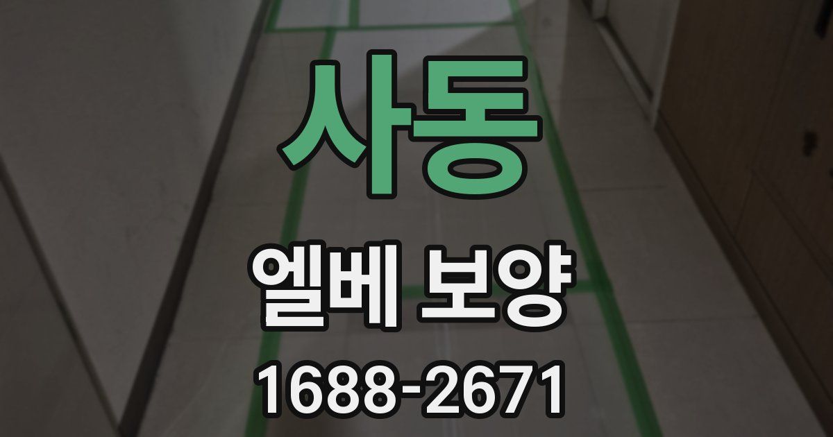 사동 엘베 보양