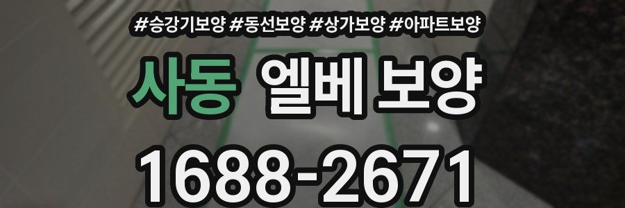 사동 엘베 보양