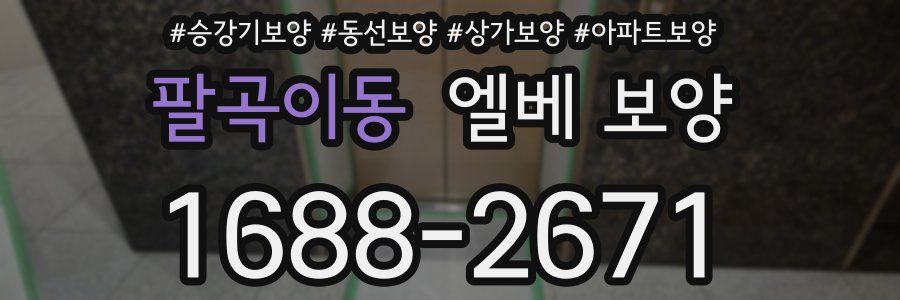 팔곡이동 엘베 보양