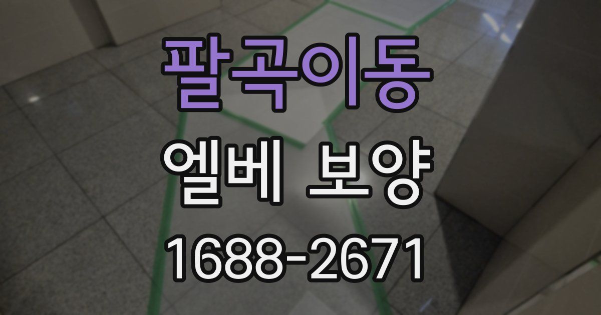 팔곡이동 엘베 보양
