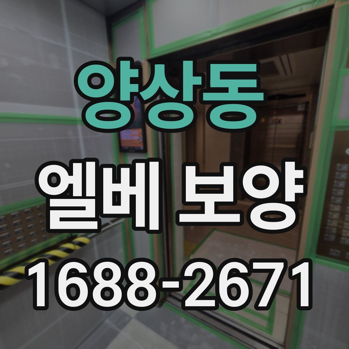 양상동 엘베 보양 보양 사진 기록이 필요한 현장 운영 포인트