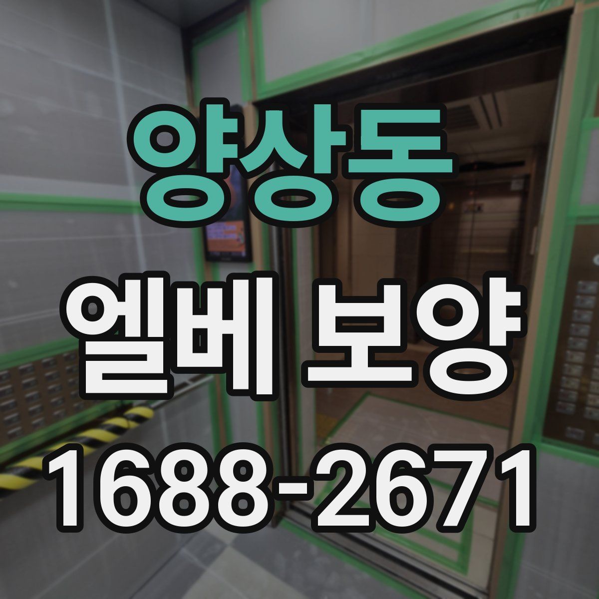 양상동 엘베 보양