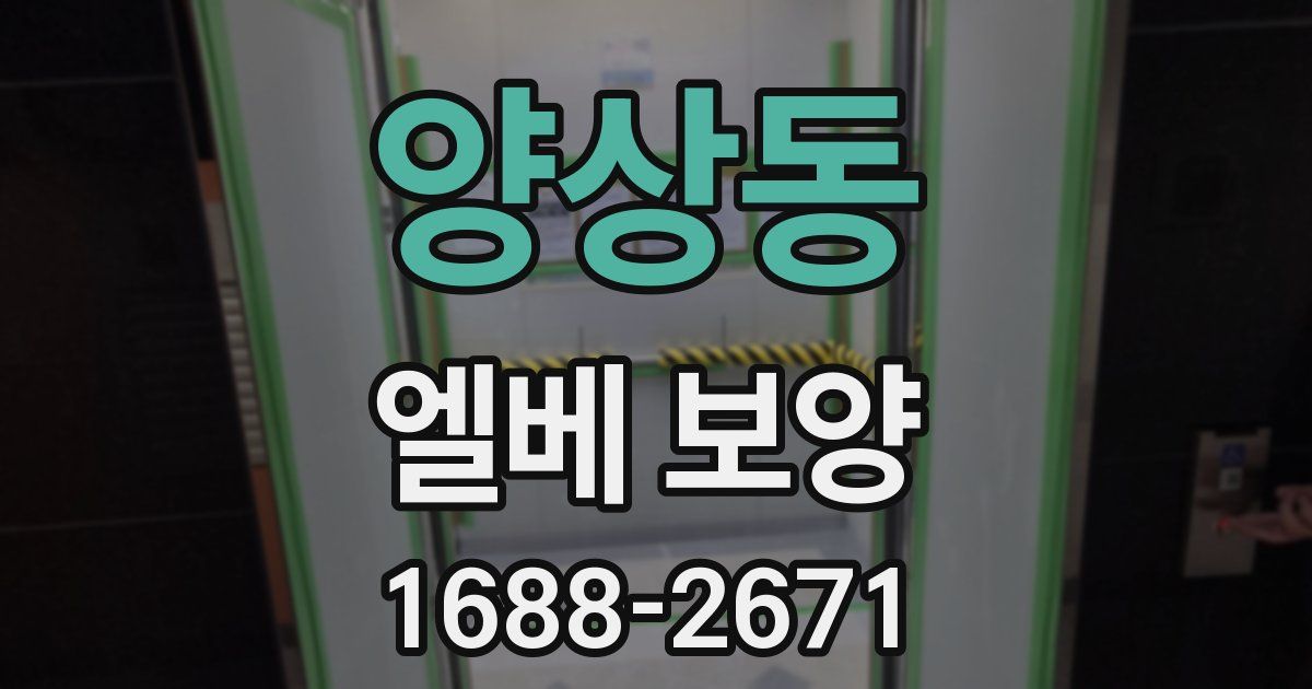 양상동 엘베 보양