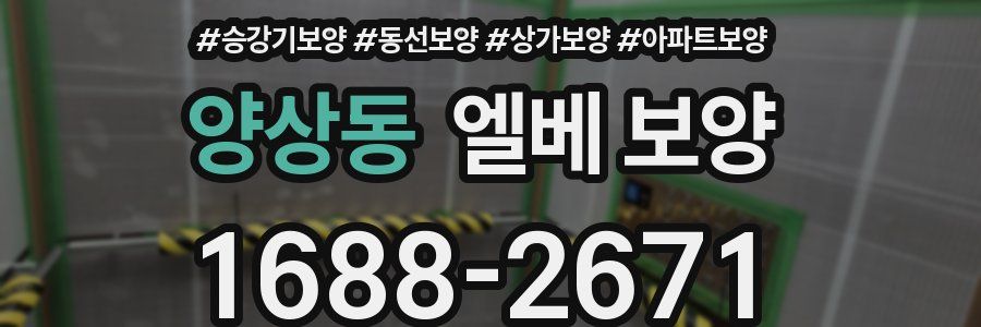 양상동 엘베 보양