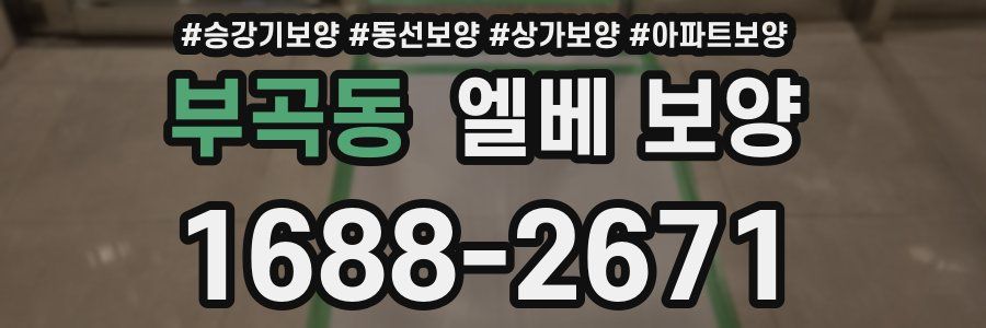 부곡동 엘베 보양
