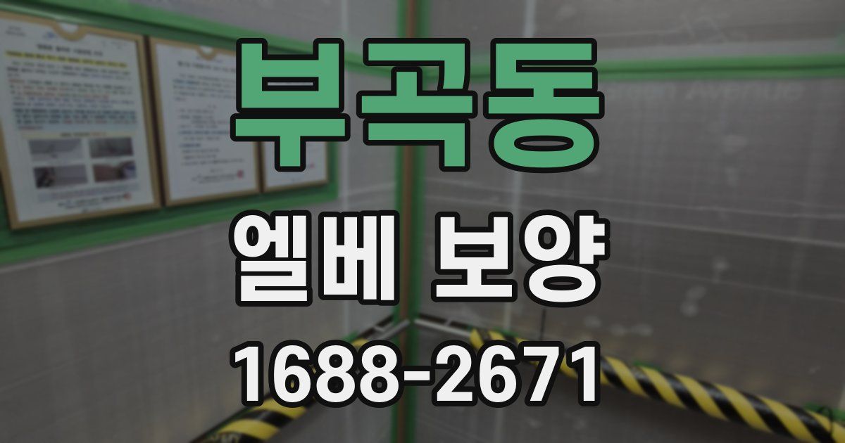 부곡동 엘베 보양
