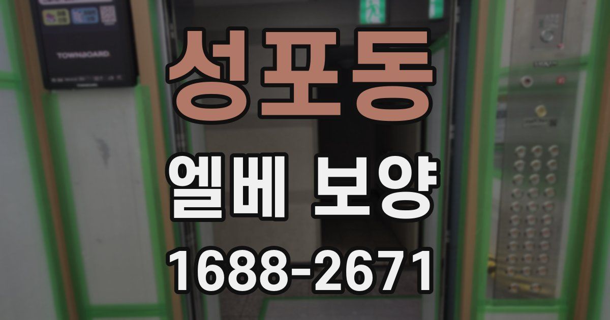 성포동 엘베 보양